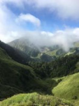 專科醫療 四季花曆